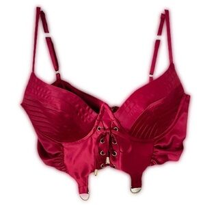 NWT Oh Polly Satin Lace Up Burgundy Corset Crop Top Zipper Closure Whimsigoth S